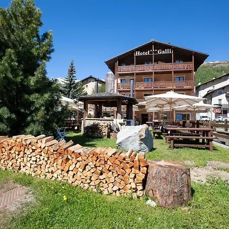 Galli Livigno