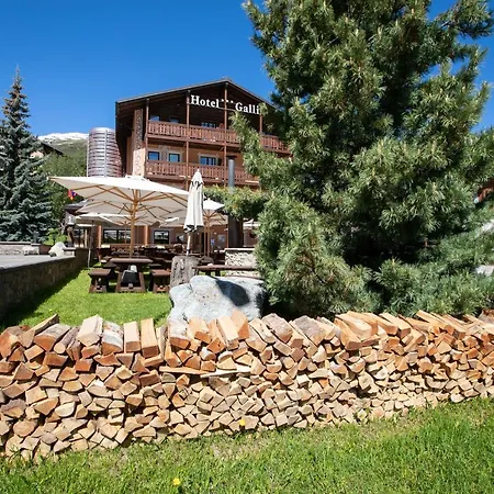 Hotel Galli 3*