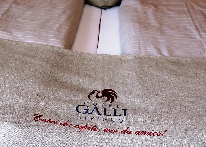 ホテル Galli リヴィーニョ