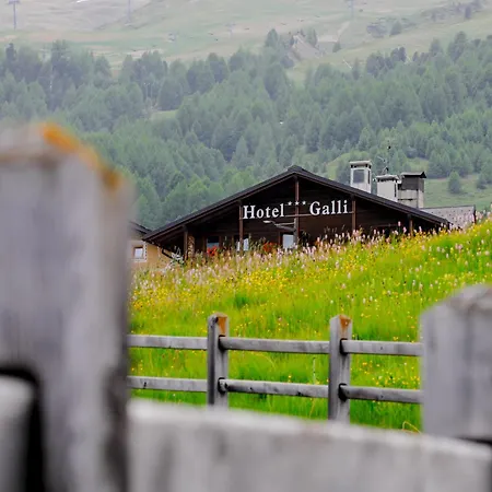 Galli 호텔 3*