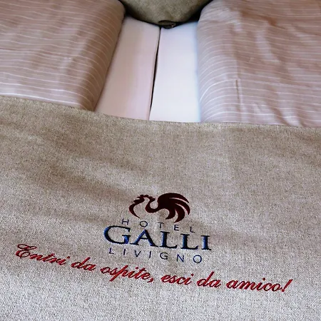 Galli
